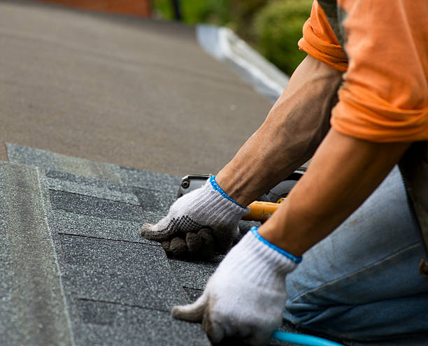 Best Roof Gutter Cleaning  in South Beach, FL